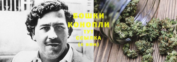 шишки Алексин
