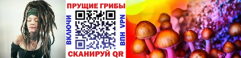 Псилоцибиновые грибы Cubensis Трёхгорный